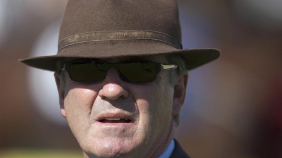 Trainer Marcus Tregoning